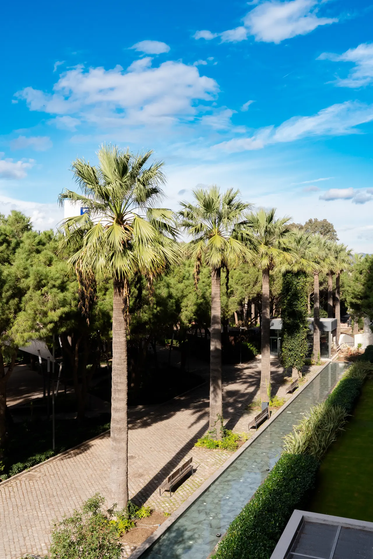 Canopy by Hilton