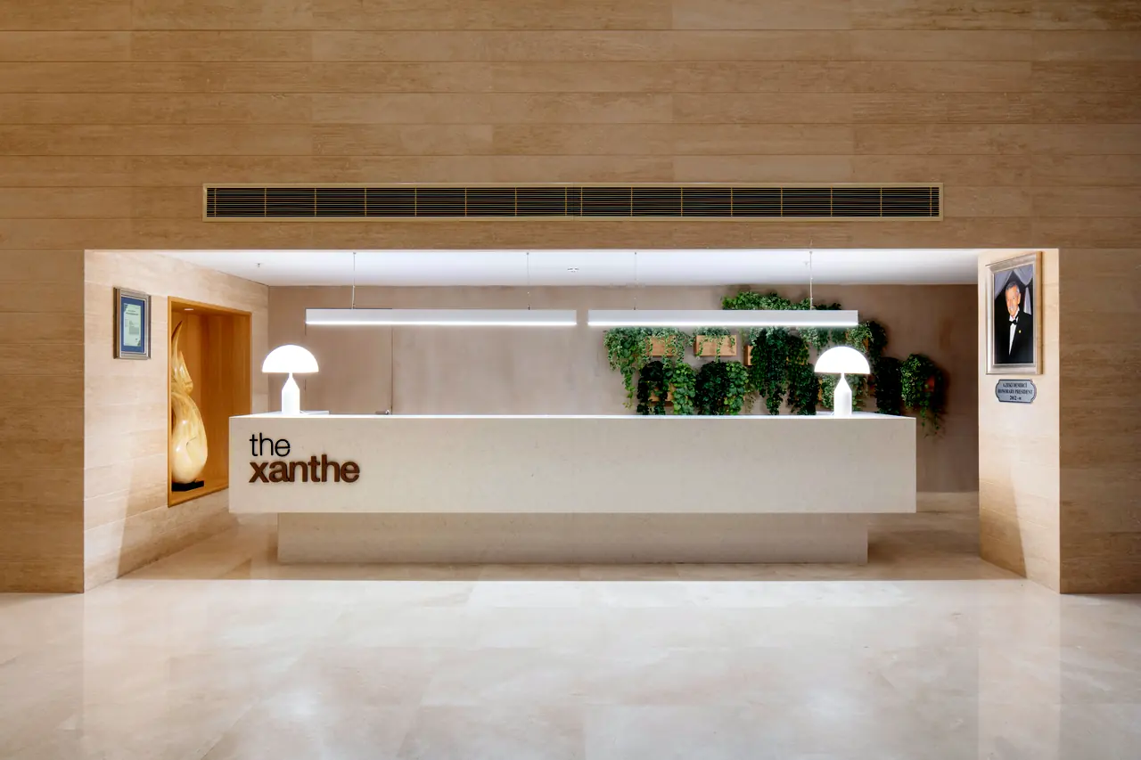 Xanthe Resort & Spa — Resepsiyon bankosu, bitkiler ve gizli ışıklı tavan